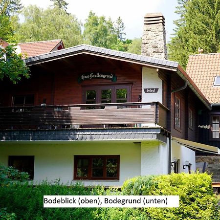 Ferienwohnungen Forellengrund Schierke Exterior foto