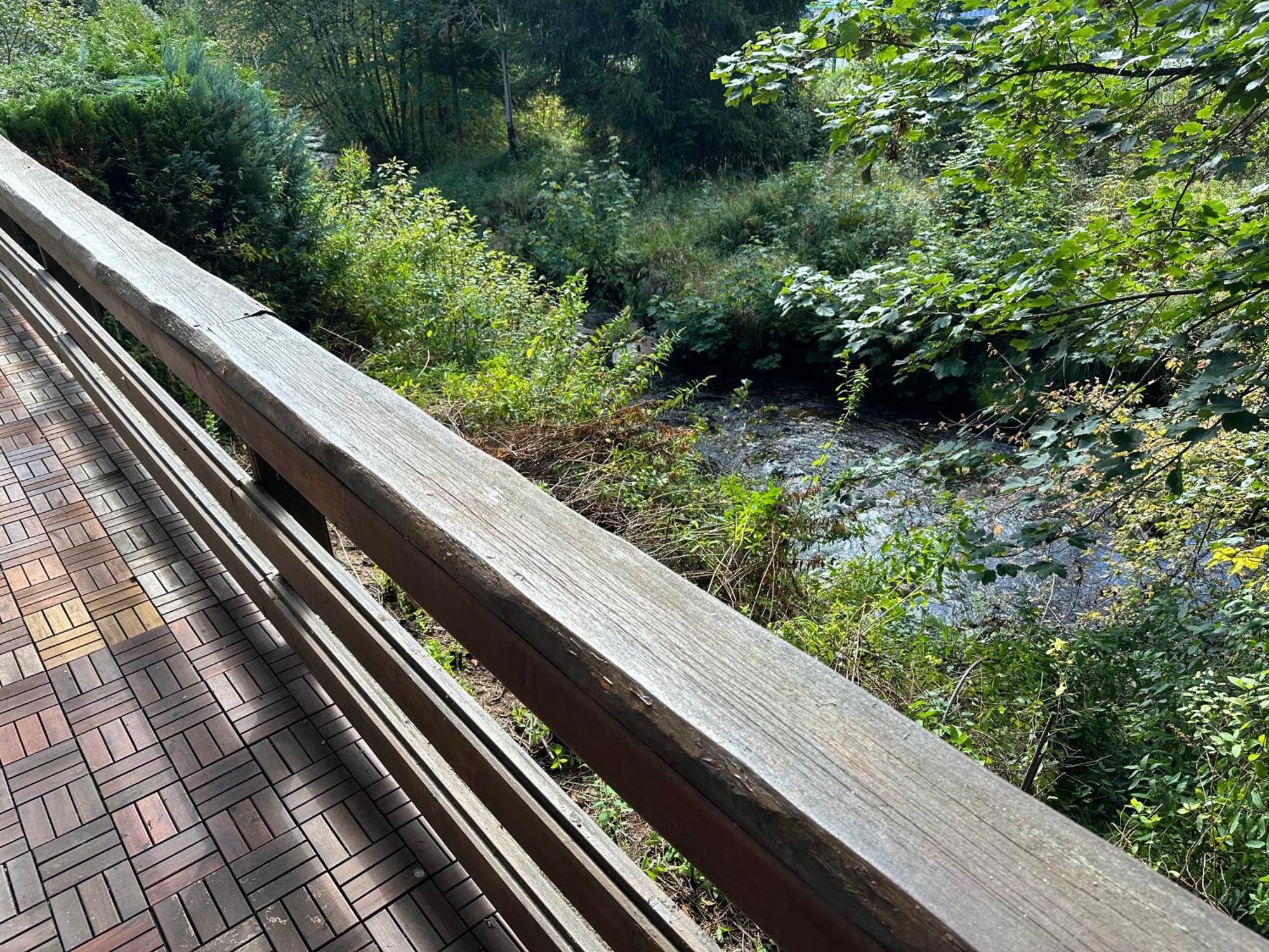 Ferienwohnungen Forellengrund Schierke Exterior foto
